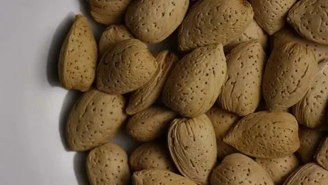 تصویر 2 از قیمت خرید بادام درختی سنگی + فروش ویژه